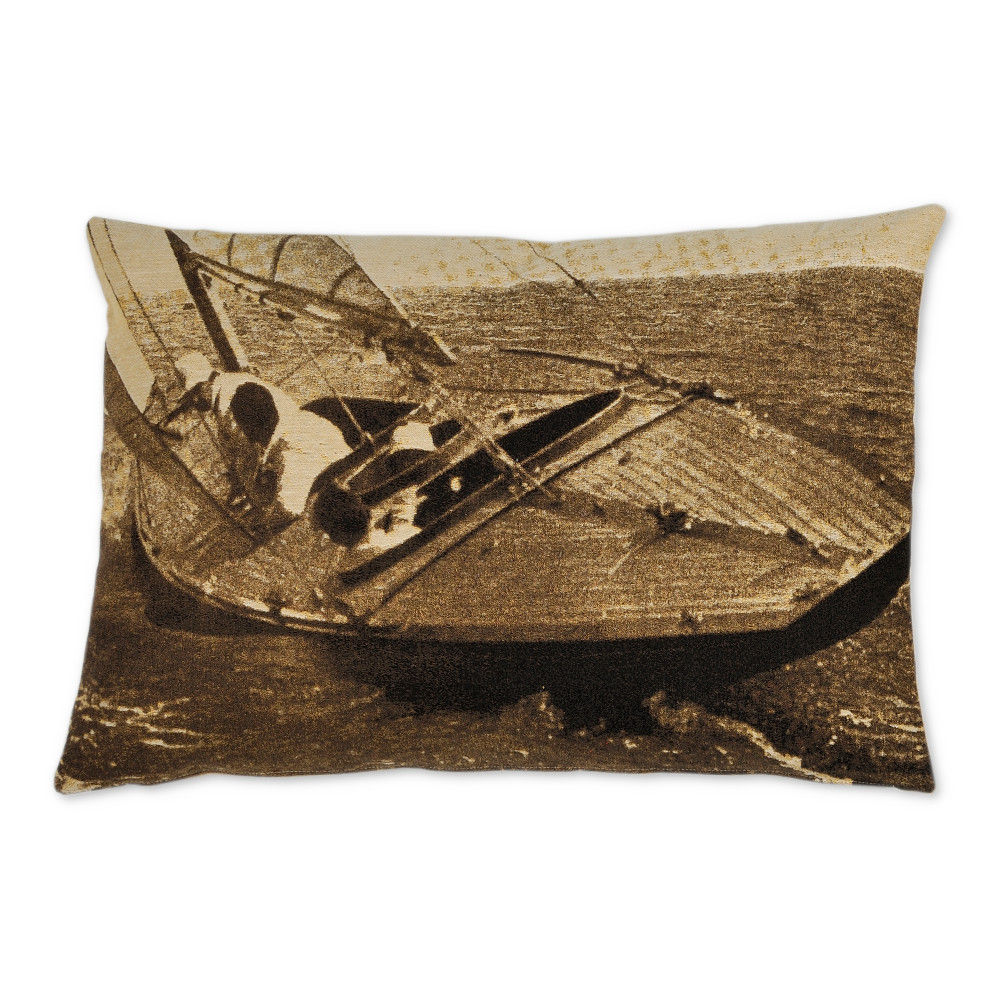 Cushion Cover 68X45 C451B image